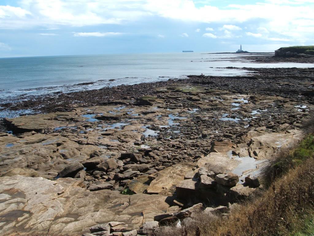 Lighthouse Guest House Whitley Bay Extérieur photo